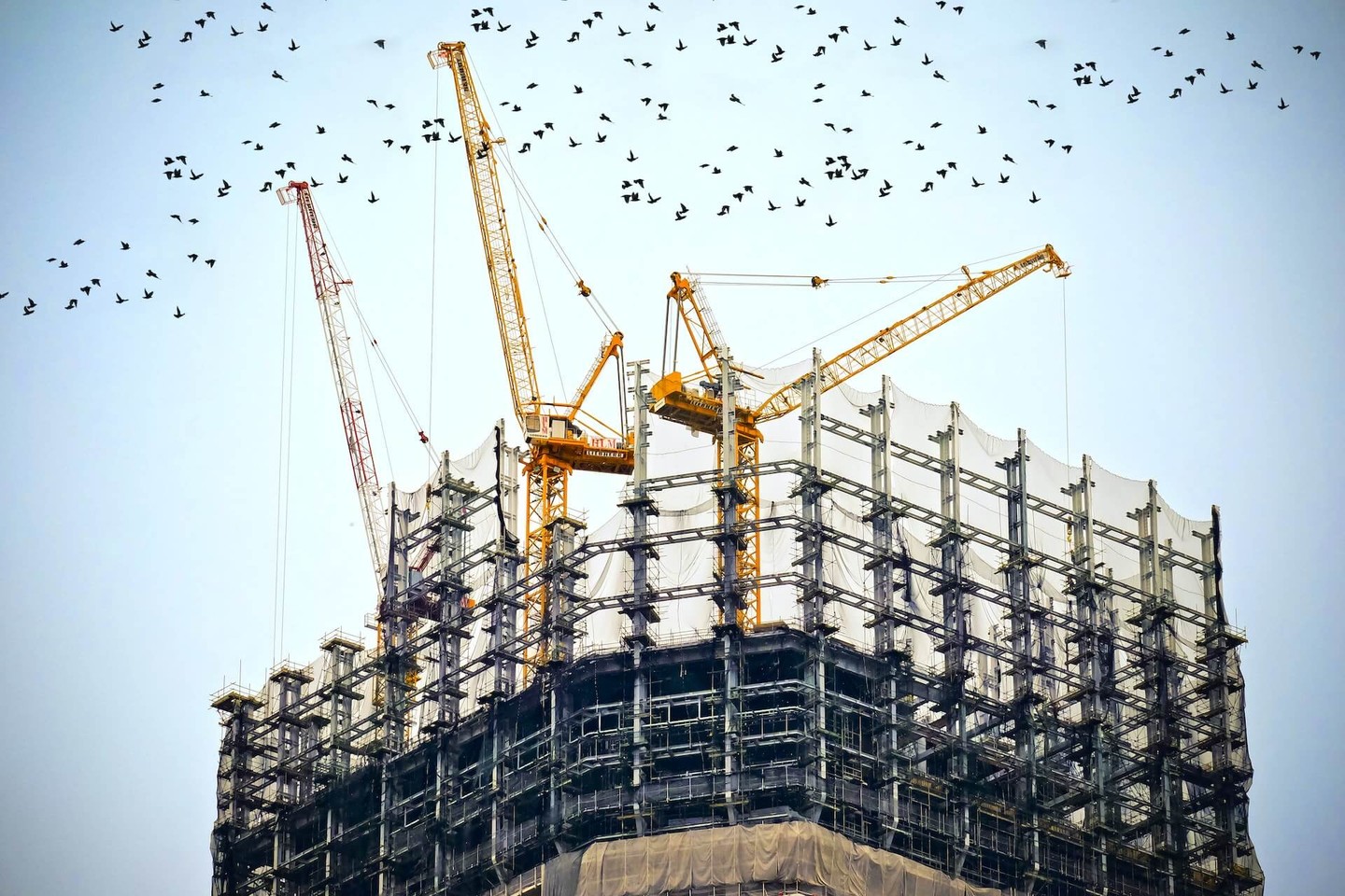 A large building being built A large building being built